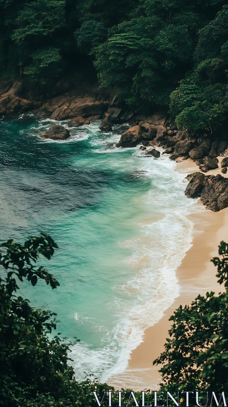 Emerald cove shoreline meets dense tropical jungle canopy.