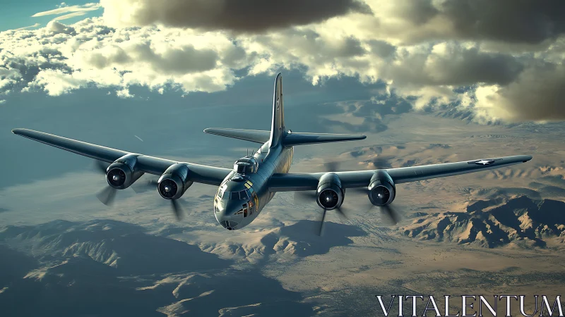 Desert sky bomber glides beneath storm-brewing clouds with poise.