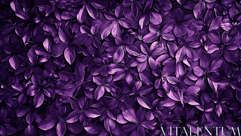 Purple floral foliage forms a dramatic monochrome tapestry.