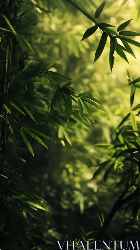 Lush bamboo foliage in cinematic green backlit forest glow.