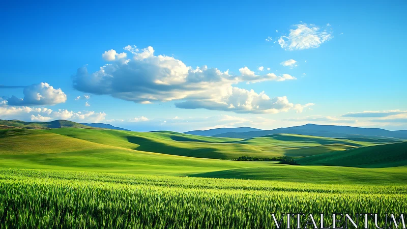Sunlit green hills under bright blue sky with clouds.