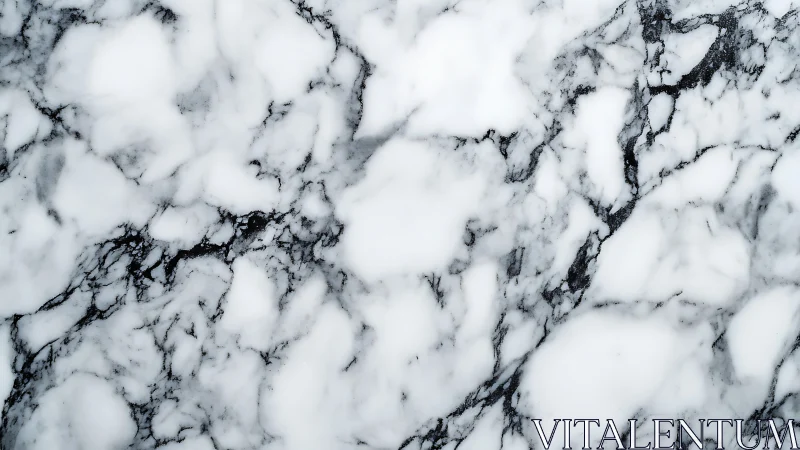 Soft white marble with graceful charcoal gray veining pattern.