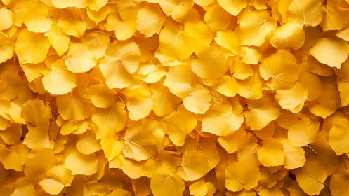 Golden leaf tide rolling in soft waves of autumn light.