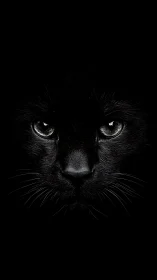 Black feline face against dark background with illuminated eyes.