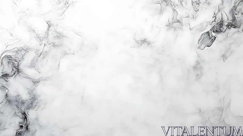 Monochrome fluid ink diffusion forms in soft cloudy field