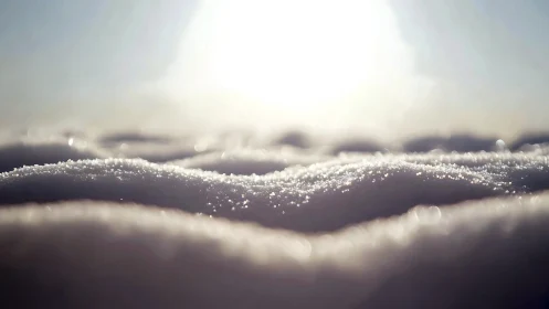 Snow crystals shimmer like a quiet ocean under sunrise