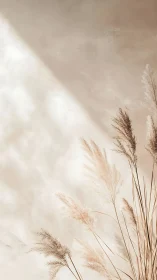 Dried pampas grass stems stand against soft beige background