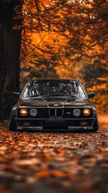 Classic black coupe parked under vivid autumn canopy.
