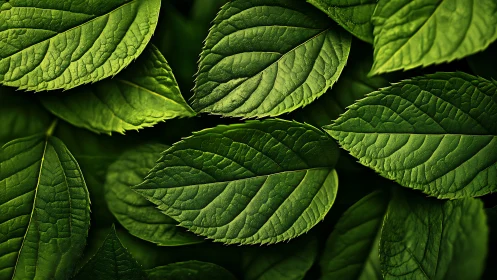 Macro botanical leaf tessellation in layered green relief.
