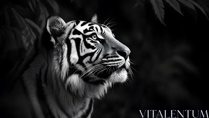 Gentle tiger gaze in moonlit black and white calm.