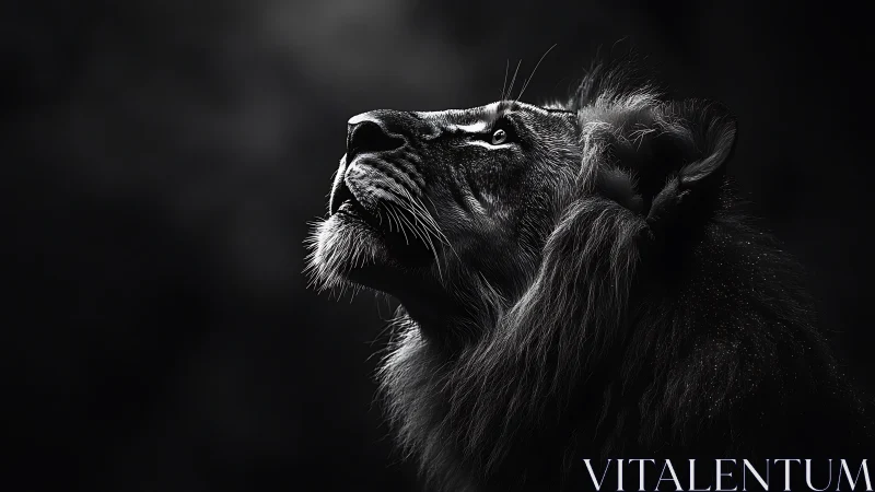 Monochrome side profile of lion against dark background.