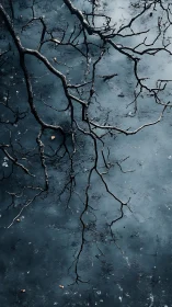 Bare winter branches cast graphic silhouettes on frozen water