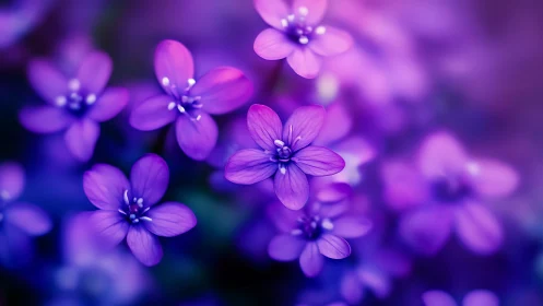 Luminous Purple Flowers in Soft Focus Dream.