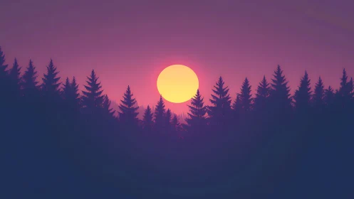 Soft twilight sun drifting above quiet evergreen forest.