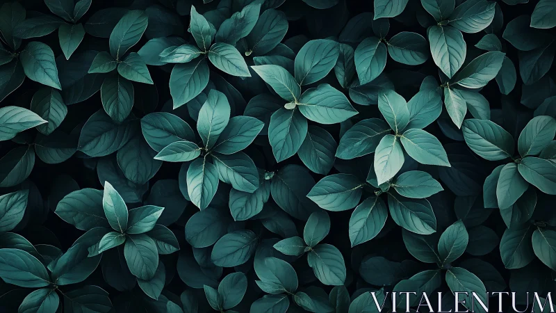 Gentle teal leaves creating a calming garden embrace.