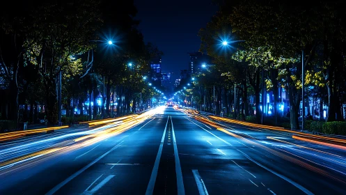 Neon rivers of traffic race through midnight city veins.