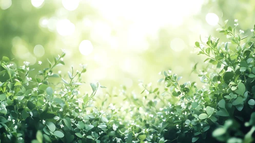 Morning hush over tiny wildflowers and whispering leaves.