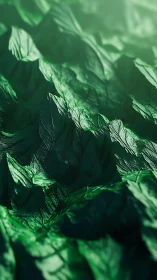 Green abstract terrain folds in soft directional light.