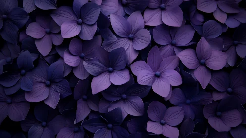 Purple Hydrangeas Create a Moody Floral Tapestry