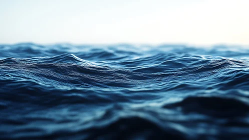 Gentle rolling ocean waves under calm morning light.