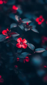 Glowing Red Blooms in Twilight Garden Magic.