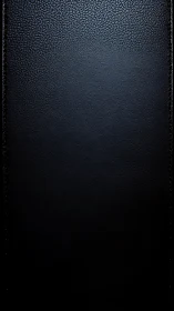 Textured black leather panel with subtle directional lighting.