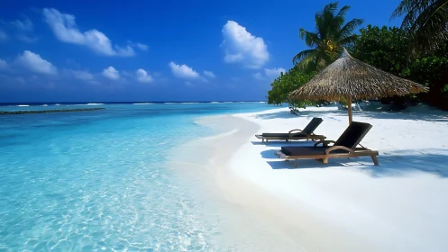 Tropical Beach Paradise with Sun Loungers.