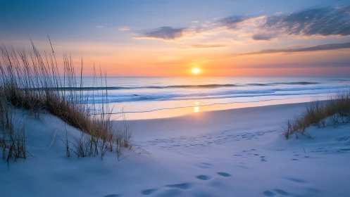 Coastal sand dunes and Atlantic shoreline at pastel sunrise