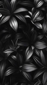 Monochrome foliage fills frame with dense overlapping leaves