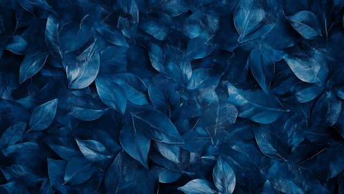 Midnight blue foliage texture with glossy overlapping leaves.