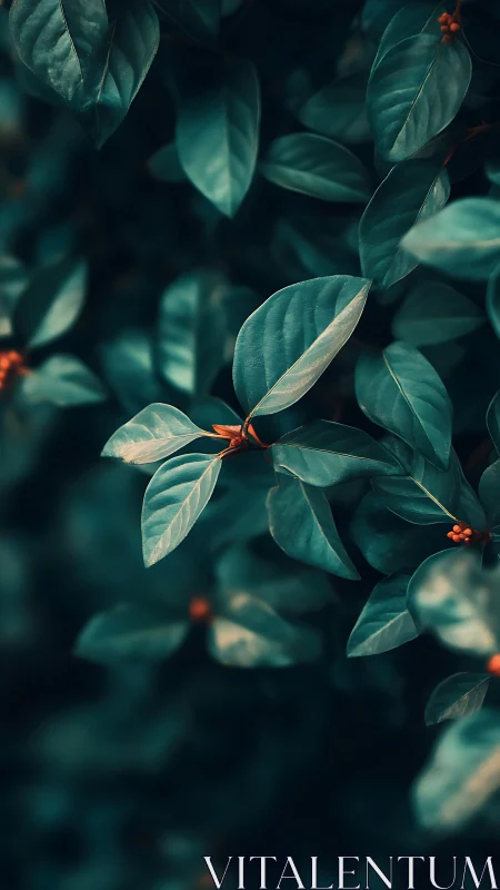 Teal foliage closeup with golden buds in soft bokeh focus.