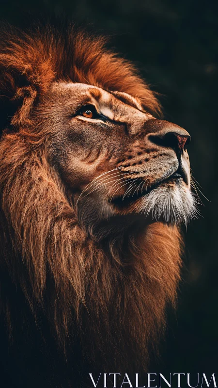 Majestic lion tilts his gaze toward unseen amber horizons