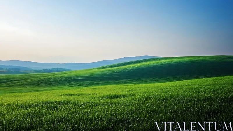 Gentle green hills glow softly under a calm blue sky