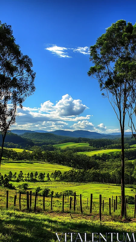 Rural hills, trees and pasture form layered landscape view
