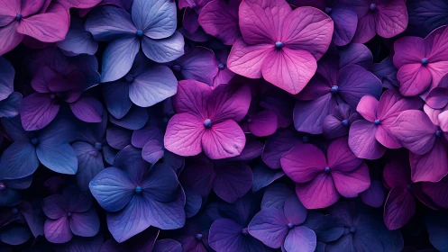 Hydrangea Flower Cluster Composition.
