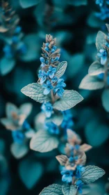 Blue Flower Spike with Textured Leaves in Soft Focus.