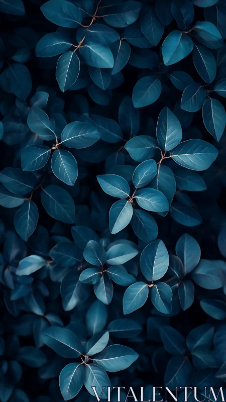 Midnight leaves quietly rehearse their moonlit geometry