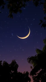 Crescent moon over twilight trees and starry night sky.