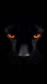 Black Cat Face with Amber Eyes Against Dark Background.