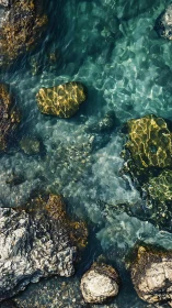 Sunlit coastal rocks resting beneath clear turquoise water.
