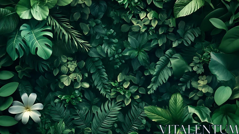 Lush tropical foliage forms a serene, immersive green canopy
