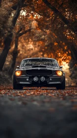 Classic muscle car framed by autumnal forest perspective.