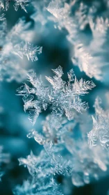 Macro snowflake cluster shows detailed crystalline geometry