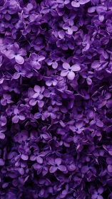 Dense Purple Lilac Clusters: Botanical Macro Study.