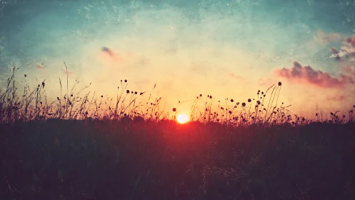 Soft sunrise glows behind wild meadow silhouettes