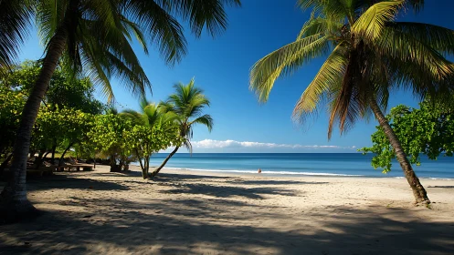 Where Palms Whisper Secrets to Sapphire Waves.