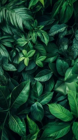 Emerald jungle tapestry of layered tropical leaves in shadow.