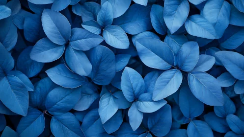 Blue leaves whisper quietly in a monochrome midnight garden