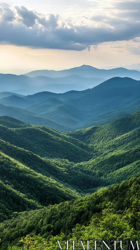 Layered forested mountain ridges under diffused evening sky
