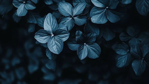 Dark blue-toned leaves fill frame in soft focused arrangement.